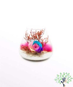 رز جاویدان RI24 Rose Immortal