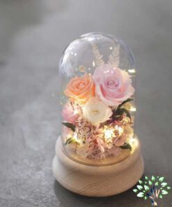 رز جاویدان RI28 Rose Immortal