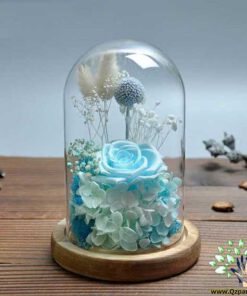 رز جاویدان RI29 Rose Immortal