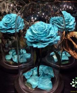 رز جاویدان RI3 Rose Immortal