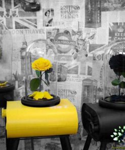 رز جاویدان RI31 Rose Immortal