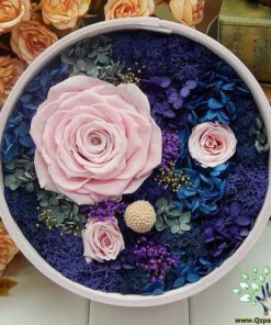 رز جاویدان RI32 Rose Immortal