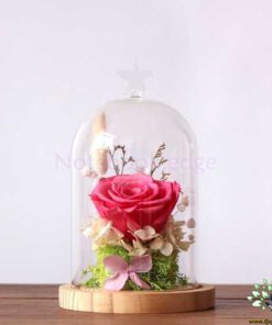 رز جاویدان RI33 Rose Immortal