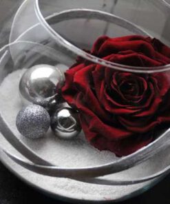 رز جاویدان RI39 Rose Immortal