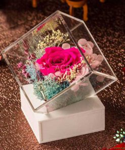 رز جاویدان RI4 Rose Immortal