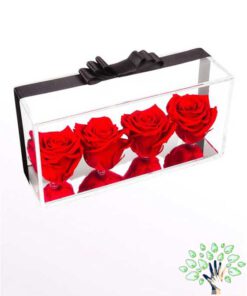 رز جاویدان RI41 Rose Immortal