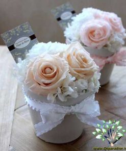 رز جاویدان RI42 Rose Immortal