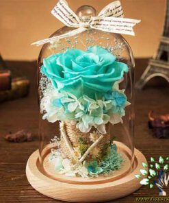 رز جاویدان RI45 Rose Immortal