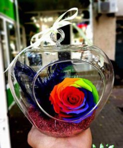 رز جاویدان RI46 Rose Immortal