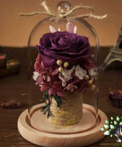 رز جاویدان RI47 Rose Immortal