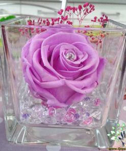 رز جاویدان RI50 Rose Immortal