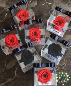 رز جاویدان RI54 Rose Immortal