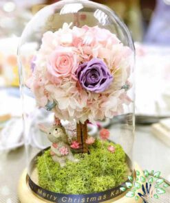 رز جاویدان RI55 Rose Immortal