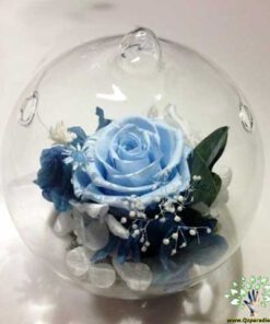 رز جاویدان RI56 Rose Immortal