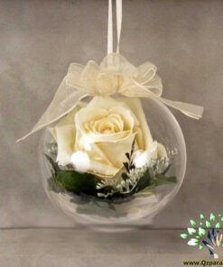 رز جاویدان RI61 Rose Immortal