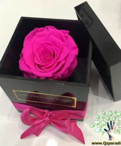 رز جاویدان RI62 Rose Immortal