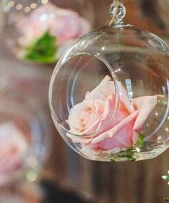 رز جاویدان RI63 Rose Immortal