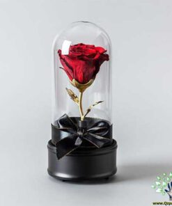 رز جاویدان RI65 Rose Immortal