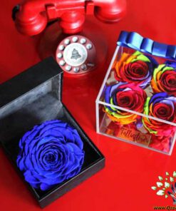 رز جاویدان RI67 Rose Immortal