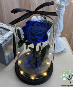 رز جاویدان RI69 Rose Immortal