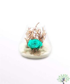 رز جاویدان RI7 Rose Immortal