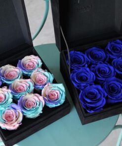 رز جاویدان RI71 Rose Immortal