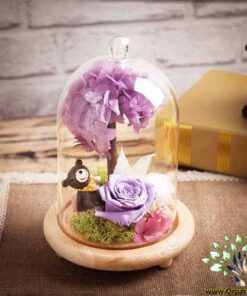 رز جاویدان RI74 Rose Immortal