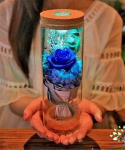 رز جاویدان RI77 Rose Immortal