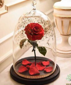 رز جاویدان RI8 Rose Immortal