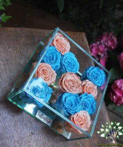 رز جاویدان RI81 Rose Immortal