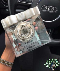 رز جاویدان RI82 Rose Immortal