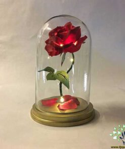 رز جاویدان RI83 Rose Immortal