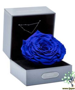 رز جاویدان RI84 Rose Immortal