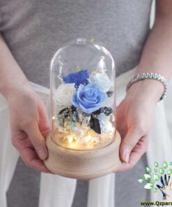 رز جاویدان RI86 Rose Immortal