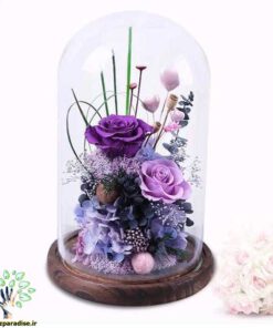 رز جاویدان RI87 Rose Immortal