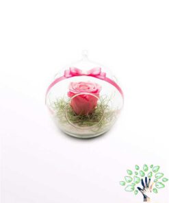 رز جاویدان RI88 Rose Immortal