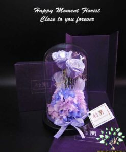 رز جاویدان RI89 Rose Immortal