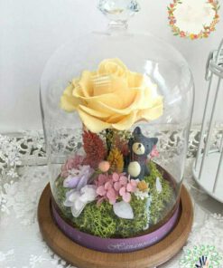 رز جاویدان RI9 Rose Immortal