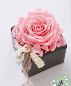 رز جاویدان RI90 Rose Immortal