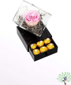 رز جاویدان RI91 Rose Immortal