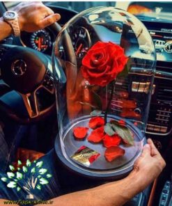 رز جاویدان RI92 Rose Immortal