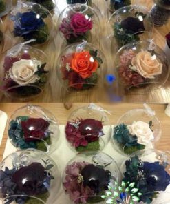 رز جاویدان RI94 Rose Immortal