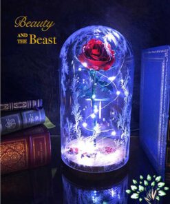 رز جاویدان RI96 Rose Immortal