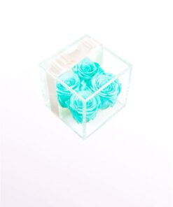 رز جاویدان RI97 Rose Immortal