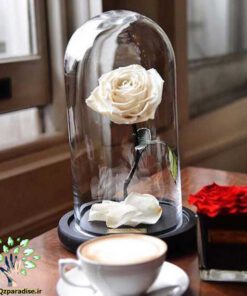 رز جاویدان RI98 Rose Immortal