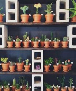 استند دیواری چوبی WWS71 Wooden Wall Stand