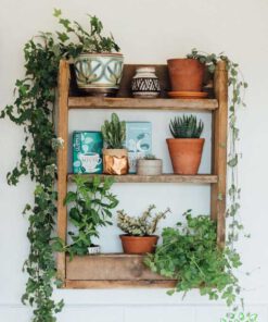 استند دیواری چوبی WWS143 Wooden Wall Stand