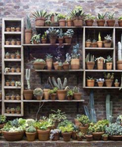 استند دیواری چوبی WWS8 Wooden Wall Stand