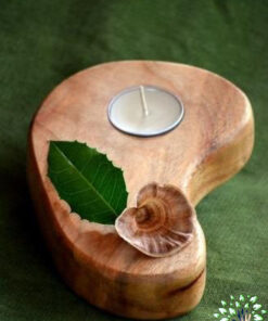 جاشمعی چوبی WC19 Wooden crescent