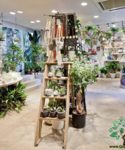 استند زمینی چوبی WGS1 wooden ground stands